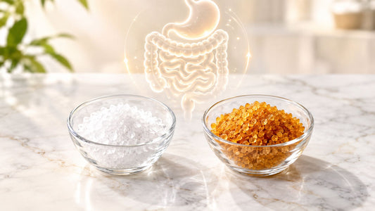 Are Chelated Minerals Better Absorbed: A 2026 Guide