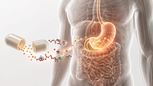 Betaine HCl with Pepsin: Complete UK Guide 2026