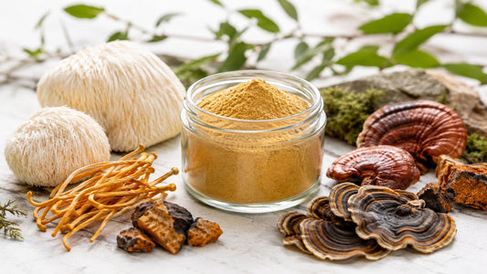 Functional Mushroom Supplements: The Evidence-Backed Guide
