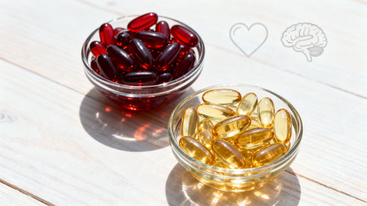 Krill Oil vs Fish Oil: Which Omega-3 Is Best for You?