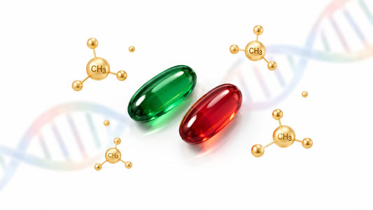 Methylated B Vitamins: What They Are and Who Needs Them