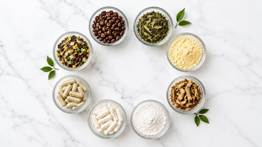 8 Nootropics for Energy: Evidence-Based Picks