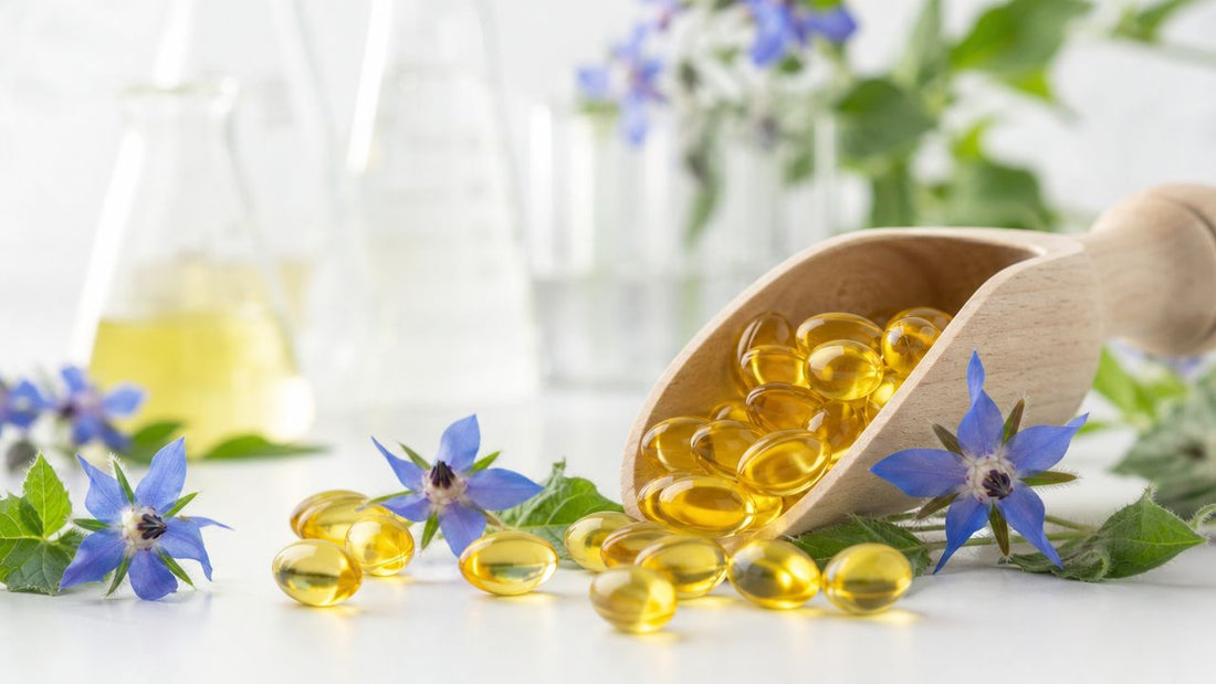 Starflower Oil Capsules: A Guide to GLA for Hormones & Skin