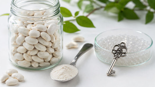 White Kidney Beans Extract: What It Is and How It Works